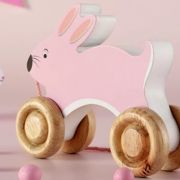 Angira handicrafts wooden toy AHS-TOY09